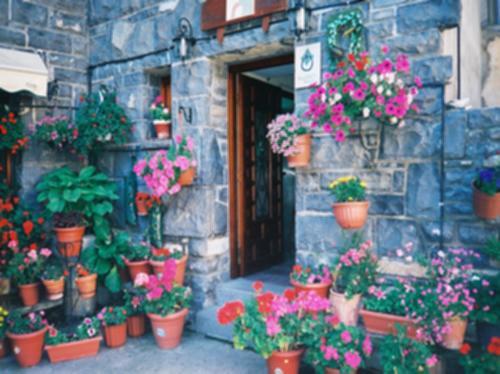 Casa Herrero Oto Pokoj fotografie